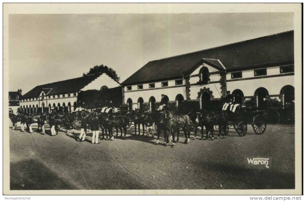 Lamballe. Côtes D´Armor 22. Le Haras. Présentation Des Attelages. - Lamballe