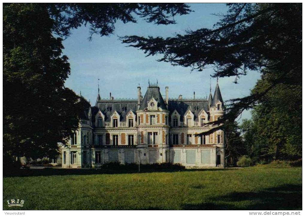 CPSM.  ENVIRONS DE JARNAC. LE CHATEAU DE CRESSE COMMUNE DE BOURG. - Jarnac