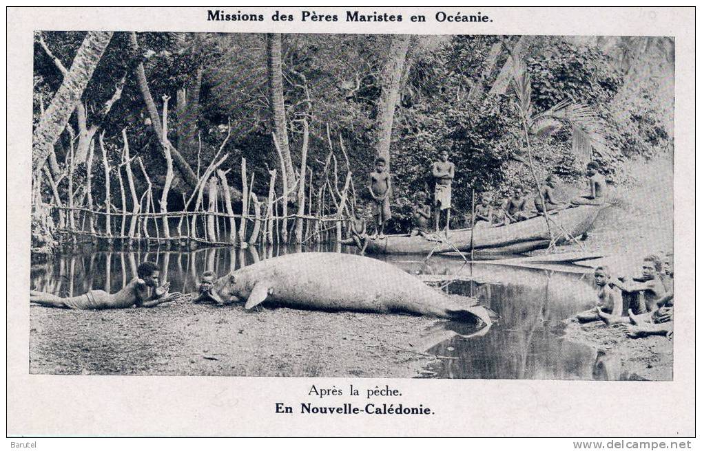 NOUVELLE CALEDONIE - Après La Pêche - Nouvelle Calédonie