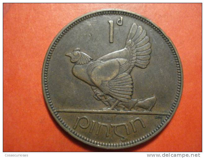 2680 IRELAND EIRE IRLANDA  1 PENNY  GALLINA POULE ANIMAL      AÑO / YEAR  1931  VF+ - Irland