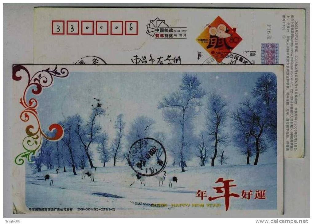 Red-crowned Crane Bird In Snowland,China 2008 Harbin Post Office Advertising Pre-stamped Card - Grues Et Gruiformes