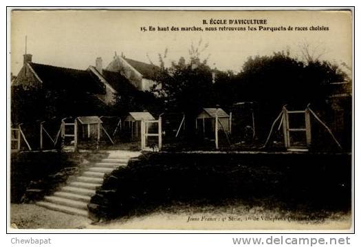 Villepreux - B.  Ecole D'Aviculture - En Haut Des Marches, Les Parquets De Races Choisies  -  15 - Villepreux