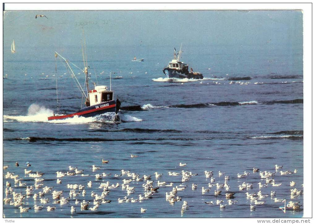 Bateaux De Pêche - Retour Au Port Au Petit Matin - Visvangst