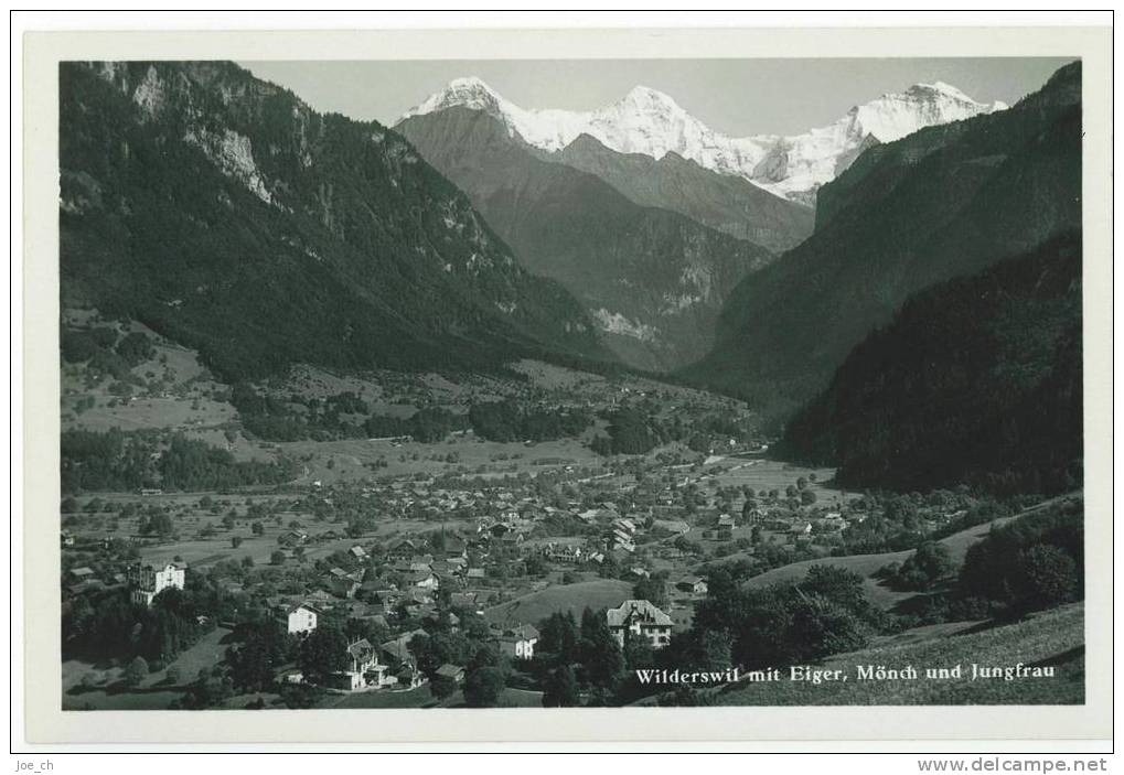 Schweiz/Suisse: AK Wilderswil Mit Eiger, Mönch Und Jungfrau, 2 Scans - Wilderswil