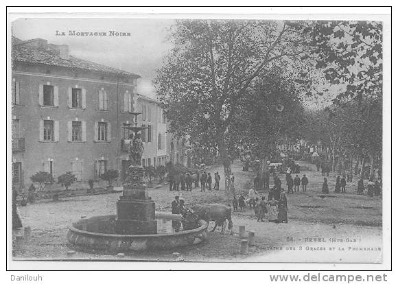 31 // REVEL, Fontaine Des Trois Graces, Et La Promenade, ANIMEE,  Labouche édit - Revel