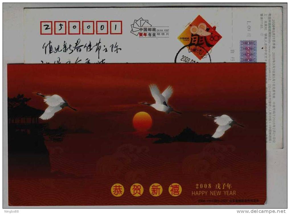 Red-crowned Crane Bird,the Seaside Rising Sun,China 2008 Shandong Post New Year Greeting Advertising Pre-stamped Card - Grues Et Gruiformes