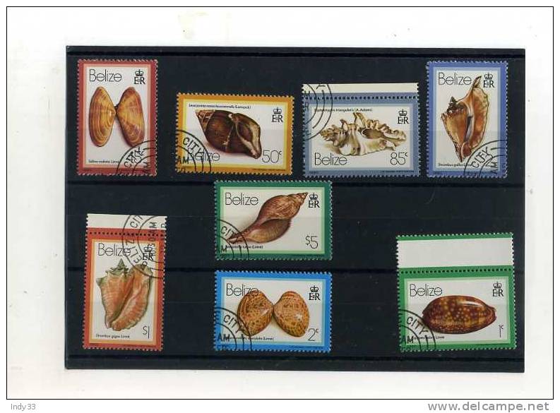 - ENSEMBLE DE DE TIMBRES SUR LE THEME DES COQUILLAGES . BELIZE . - Muscheln