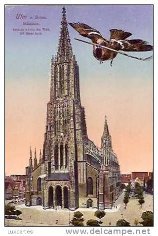 ULM A. DONAU .  MÜNSTER. HÖCHSTE KIRCHE DER WELT. 161 METER HOCH - Ulm