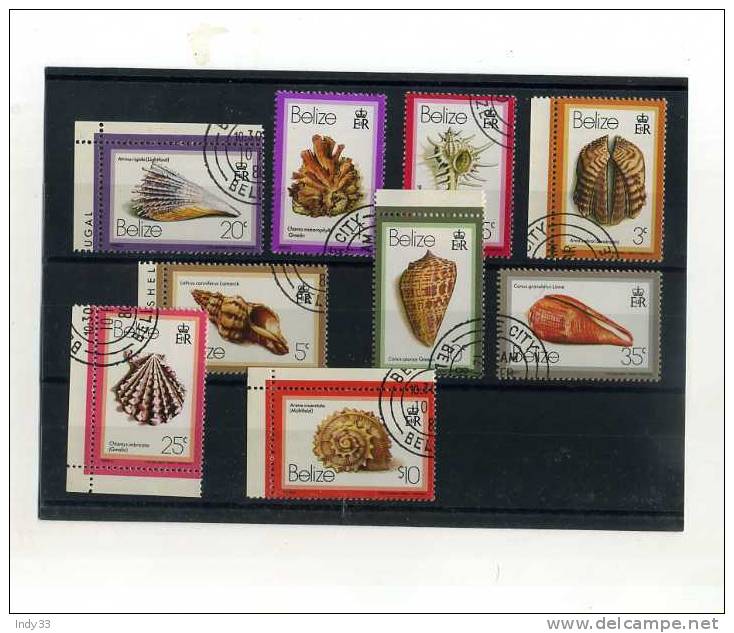 - ENSEMBLE DE TIMBRES DE BELIZE SUR LE THEME DES COQUILLAGES  . - Muscheln