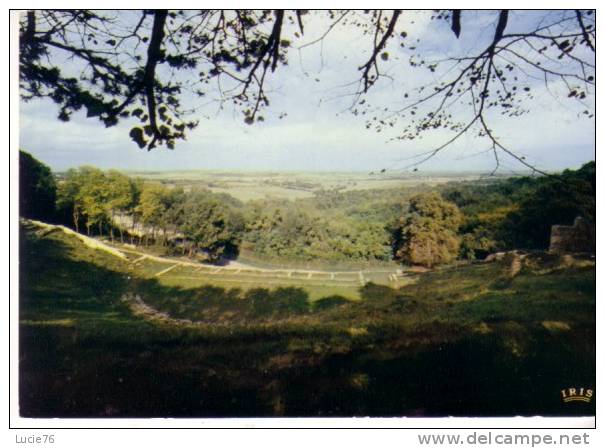 ROUILLAC - Théatre Gallo-Romain Des Bouchards (  Au Temple, Ruines D´une Commanderie ) - Rouillac