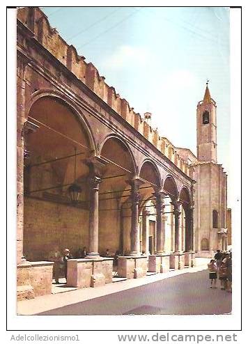 13518)cartolina Illustratoria  Loggia Dei Mercanti - Ascoli Piceno