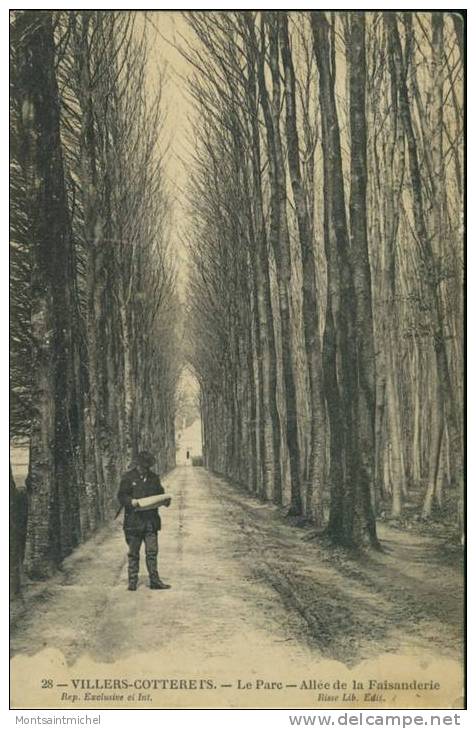 Villers-Cotterêts. Aisne 02. Le Parc - Allée De La Faisanderie. - Villers Cotterets