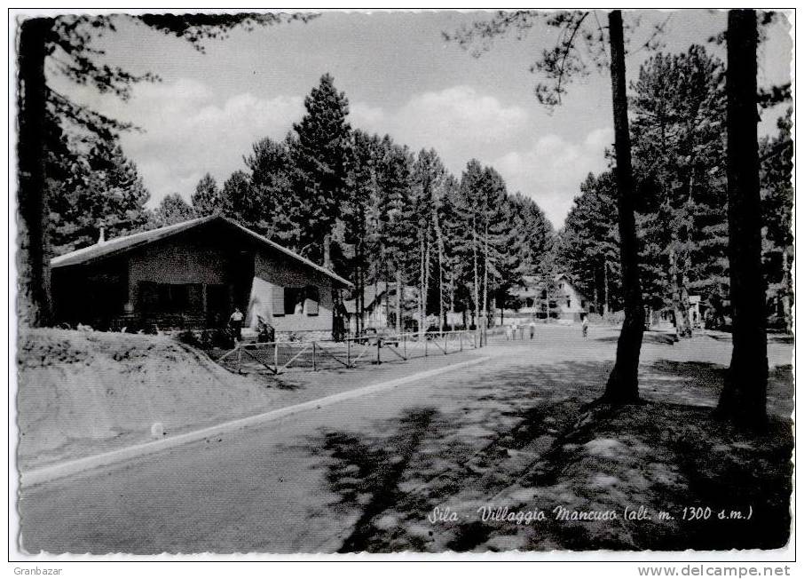 SILA, VILLAGGIO MANCUSO, B/N, VG 1953, ANIMATA  ***//*** - Crotone