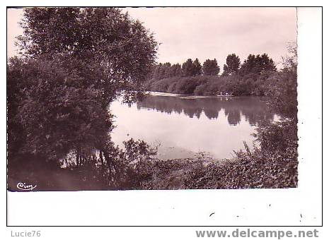 ESBLY - N° 14 -  La Marne Vue Du Pont Rouge - Esbly