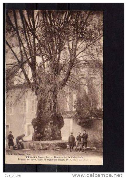 07 VIVIERS Arbre, Ormeau De La Cathédrale, Planté En 1598, Henri IV, Sully, Animée, Ed Combe, 191? - Viviers