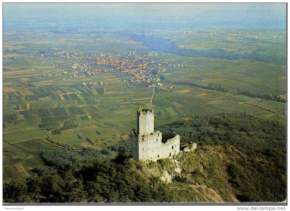 CPSM.  CHATEAU ORTENBERG ET LA PLAINE ALSACE. CONSTRUIT EN GRANIT.ESCARPEMENT ROCHEUX CHAINE DES VOSGES A 490M. ALTITUDE - Ebersmunster