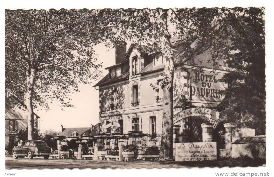 SALBRIS 41 HOTEL DU DAUPHIN CPSM LOIR-ET-CHER - Salbris