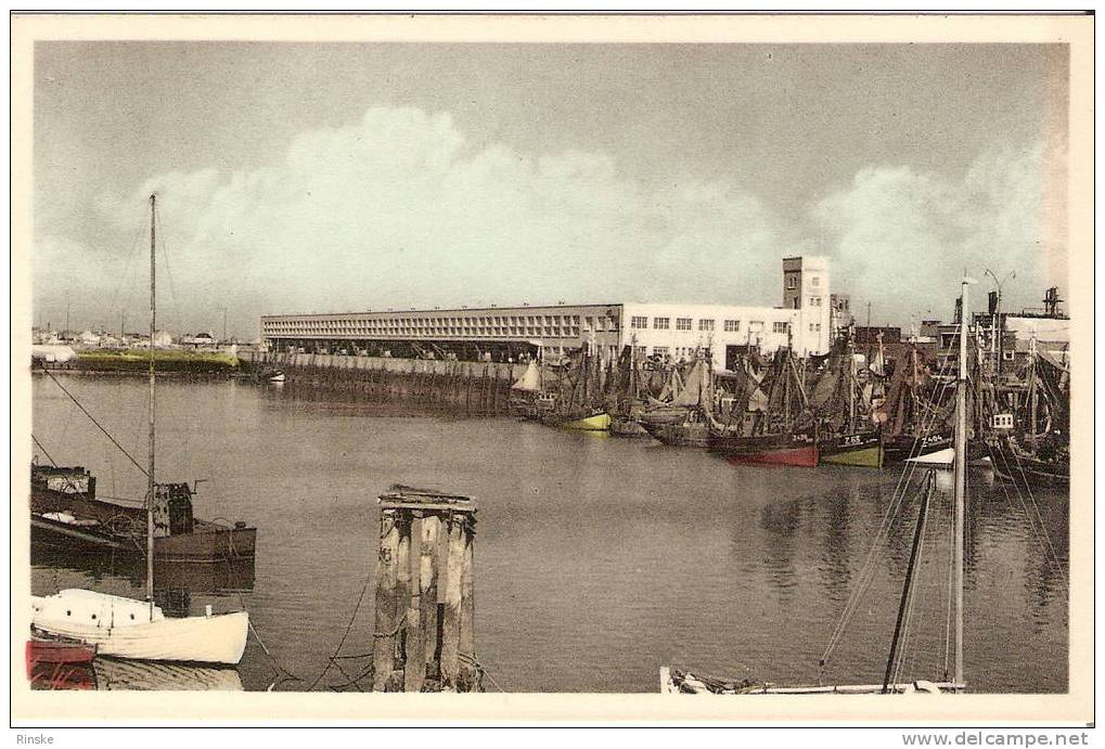 Zeebrugge - Vismijn Met Boten - Zeebrugge