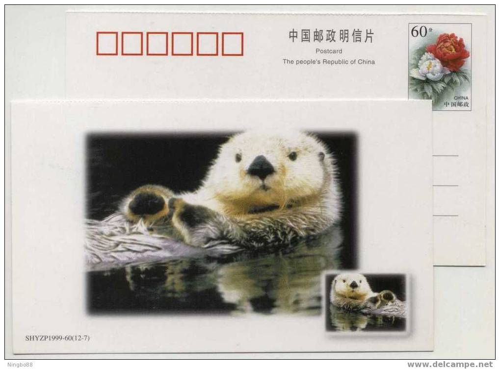 China 1999 New Year Greeting Postal Stationery Card Rare Animal Otter - Rongeurs