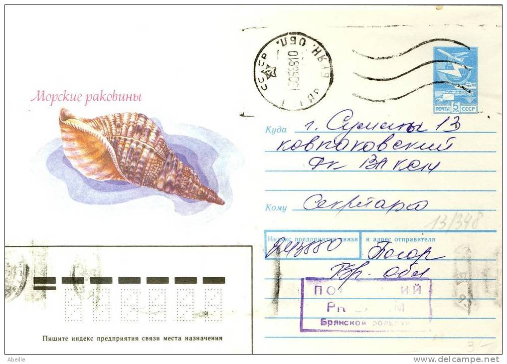 13/348   ENVELOPPE RUSSE - Muscheln