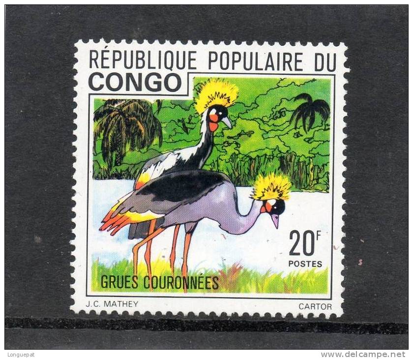 CONGO : Oiseau -GRUES COURONNEES (Balearica Pavonina) -Famille Des Grues - Grues Et Gruiformes