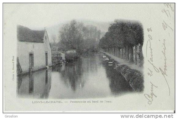 LIGNY LE CHATEL PROMENADE AU BORD DE L'EAU 1903 - Ligny Le Chatel