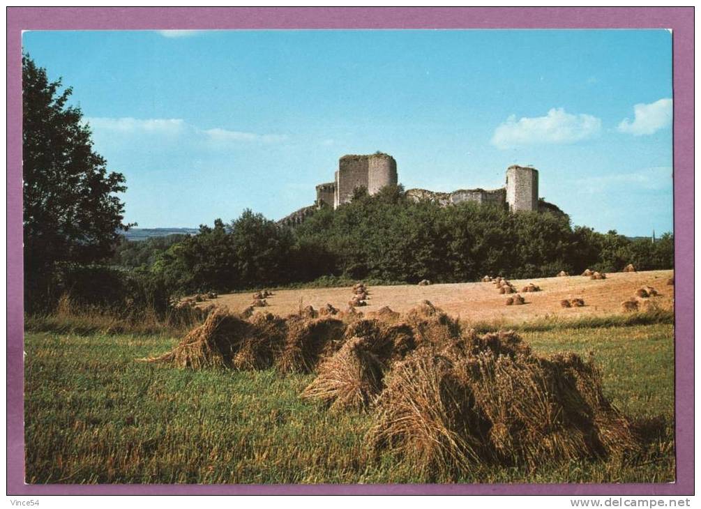 MONTOIRE SUR LE LOIR - Perspective Sur Les Ruines Du Château. Non Circulé. Scans Recto/verso - Montoire-sur-le-Loir