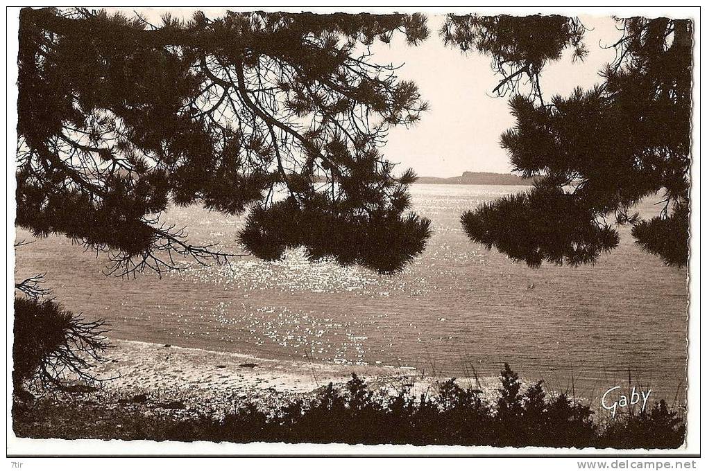 ILE BERDER Près LARMOR BADEN - Larmor-Plage