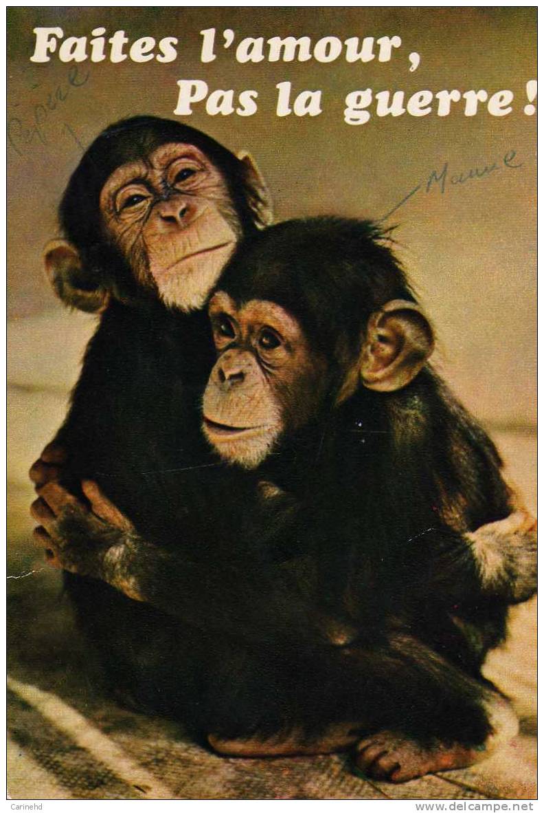 Singe Faites L´amour - Monkeys