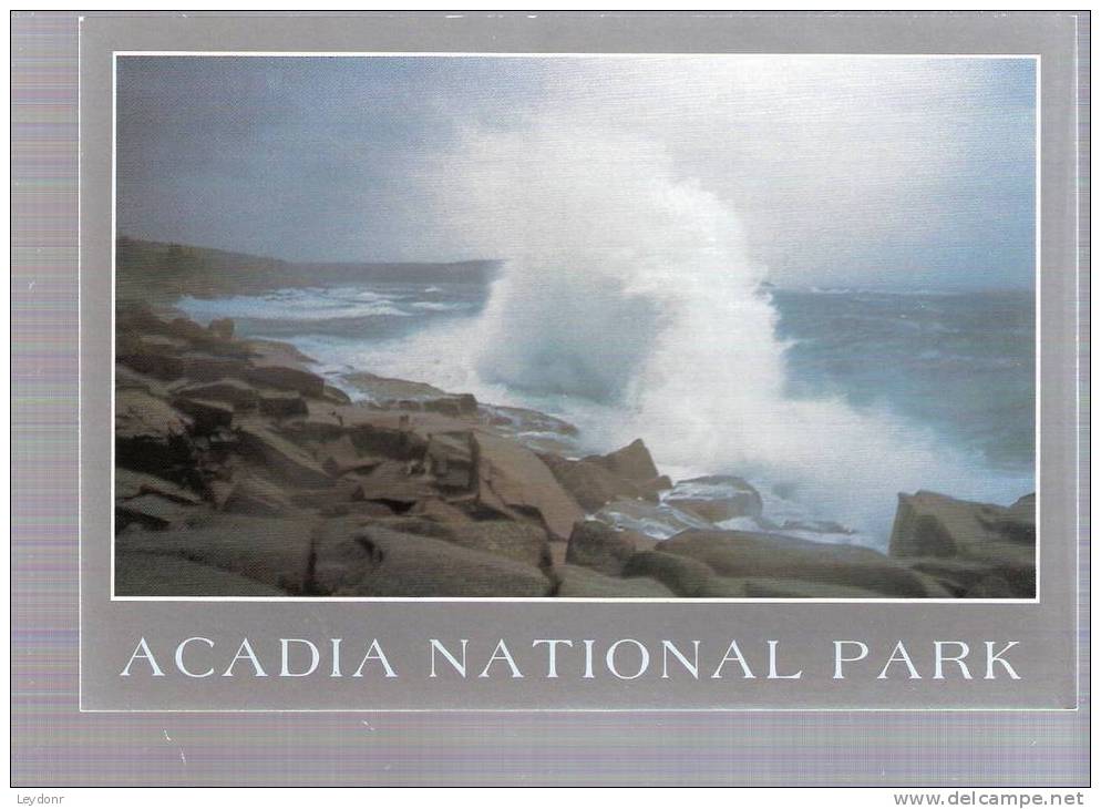 Pounding Surf Along The Ocean Drive, Acadia National Park - Maine - Sonstige & Ohne Zuordnung