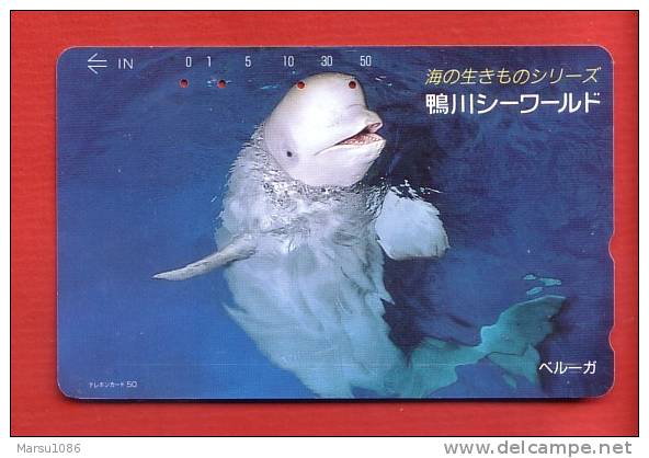 Japan Japon  Telefonkarte Télécarte Phonecard Telefoonkaart  -    Delfin Dauphin Dolphin  Delphin - Delfines