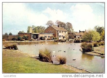 THE WILDFOWL TRUST. SLIMBRIDGE. GLOUCESTERSHIRE.  A VIEW OF THE RUSHY PEN. - Other & Unclassified