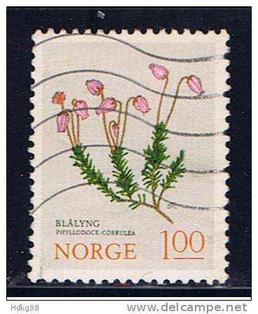 N Norwegen 1973 Mi 673 Pflanze - Gebraucht