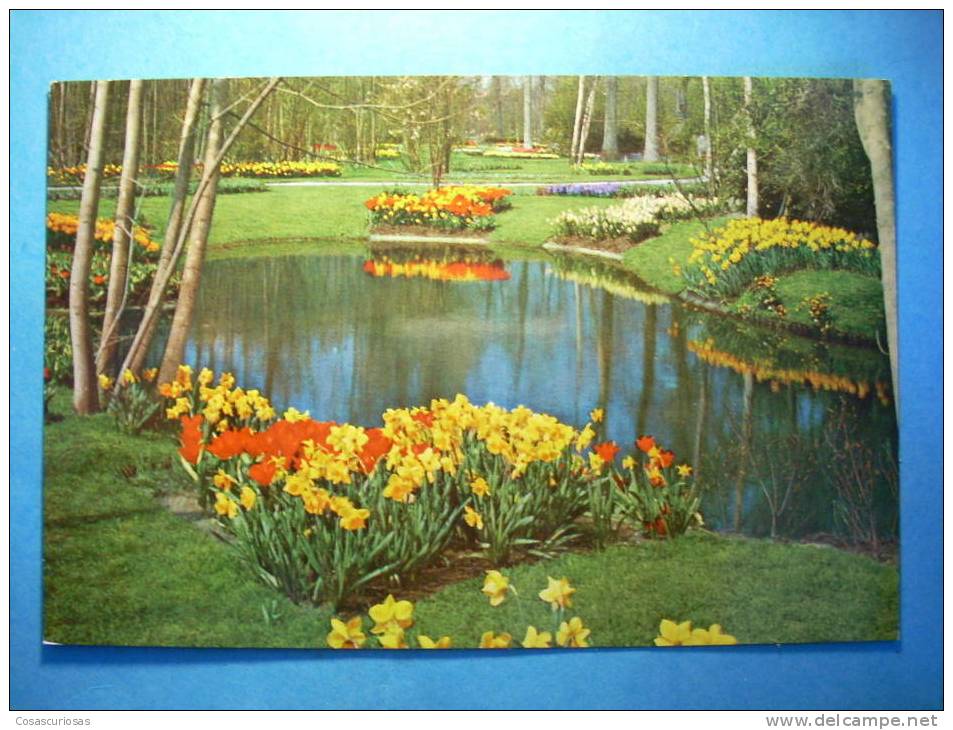 R.2599 HOLANDA NEDERLAND ZUID HOLLAND LISSE KEUKENHOF ANNEES 70/80 MAS EN MI TIENDA - Lisse