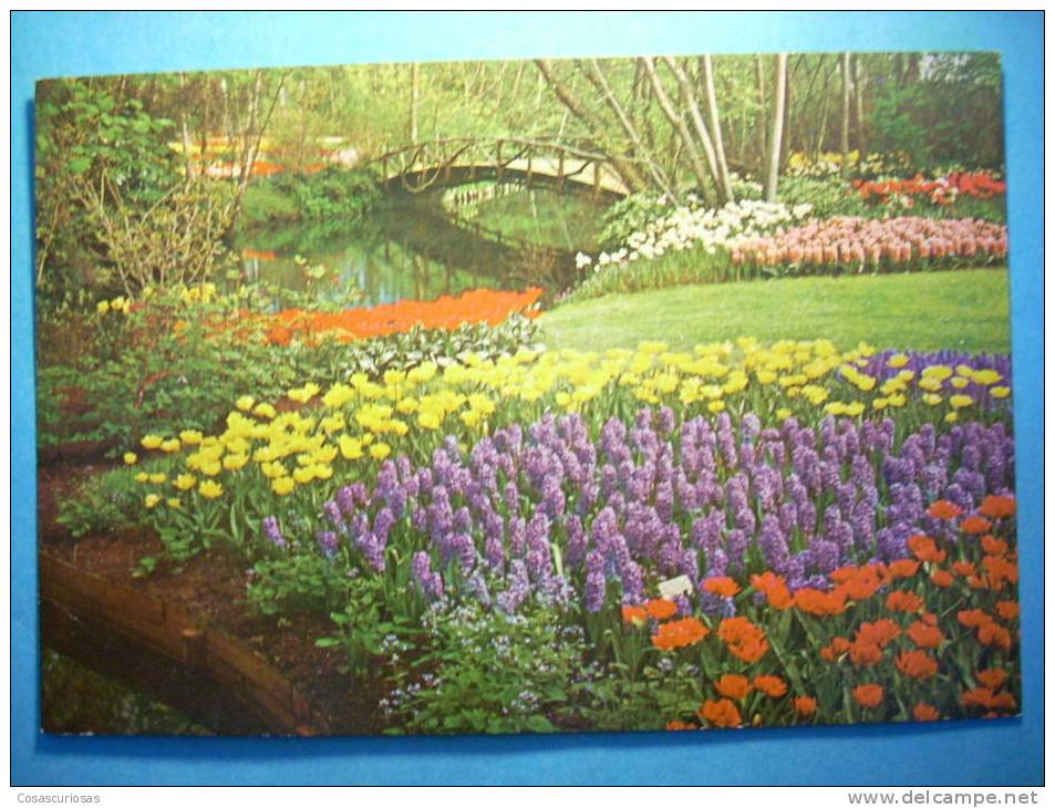 R.2601 HOLANDA NEDERLAND ZUID HOLLAND LISSE KEUKENHOF ANNEES 70/80 MAS EN MI TIENDA - Lisse