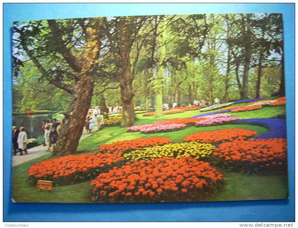 R.2607 HOLANDA NEDERLAND ZUID HOLLAND LISSE KEUKENHOF ANNEES 70 CIRCULADA MAS EN MI TIENDA - Lisse