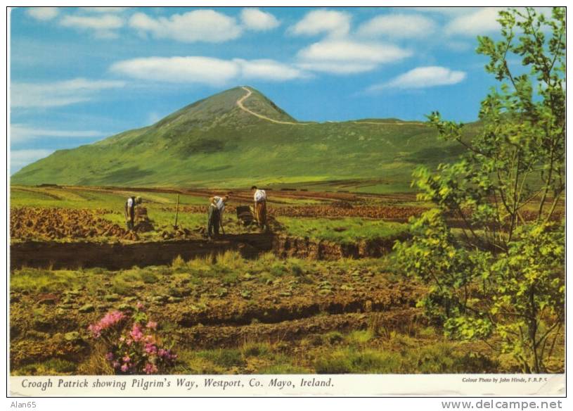 Croagh Patrick Pilgrim´s Way Westport County Mayo Ireland, Men Cutting Fuel(?), Scott # 196 Stamp - Mayo