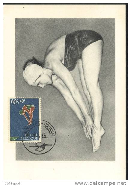 1966 Belgique Carte Maximum   Plongeon  Tuffi Diving - High Diving