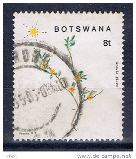RB+ Botswana 1988 Mi 447 Weihnachten: Pflanze - Botswana (1966-...)