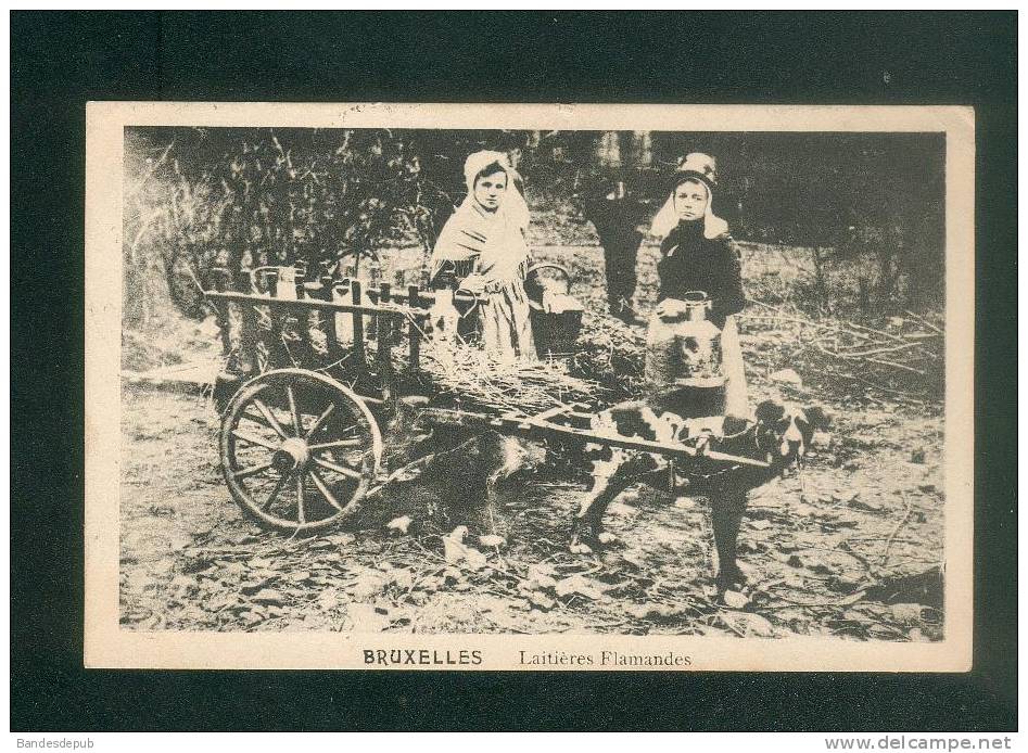 Belgique - Bruxelles - Laitières Flamandes ( Animée Laitière Attelage Chien Voyagé En 1911) - Old Professions