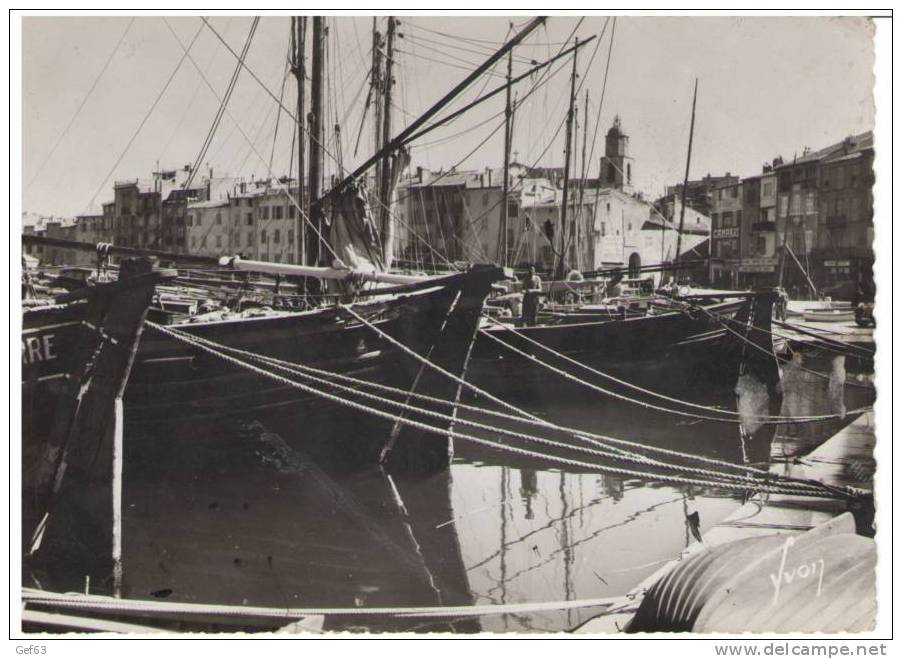 Saint Tropez - Le Port - Bateaux De Pêche - Visvangst