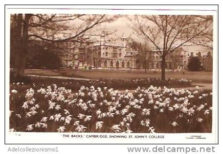 18958)cartolina Illustratoria  The Backs - Cambridge - St. John's College - Cambridge