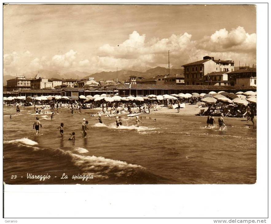 VIAREGGIO VIAG. BOLLO TOLTO - Viareggio