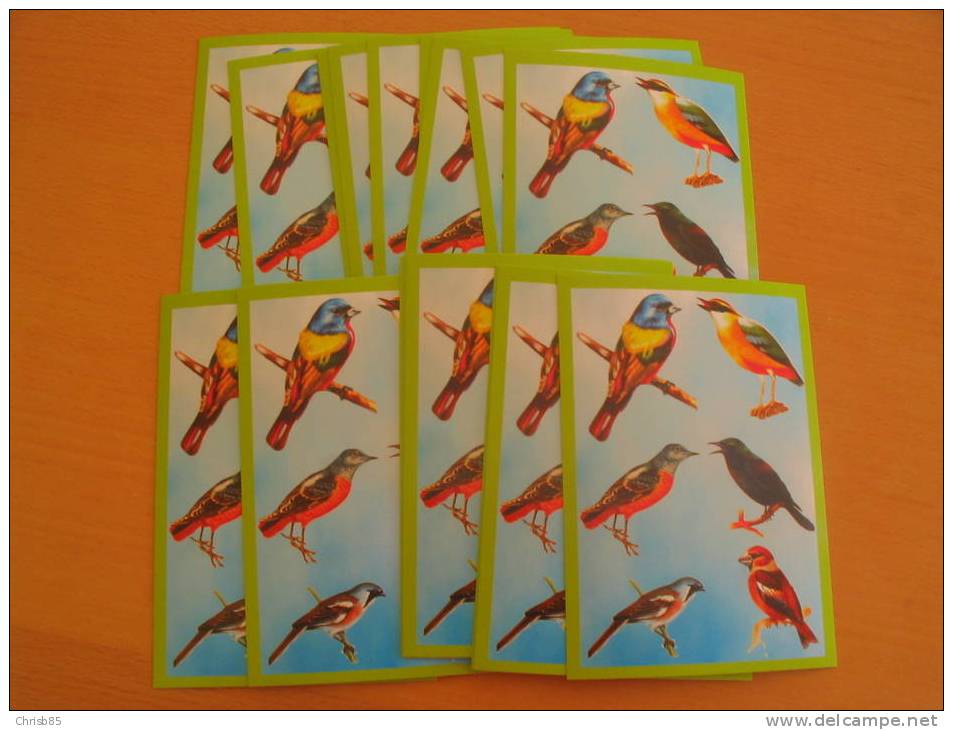 LOT CARTES POSTALES  NEUVES THEME OISEAU RAPACE PAR 20  EXEMPLAIRES IDENTIQUE - Collections, Lots & Séries