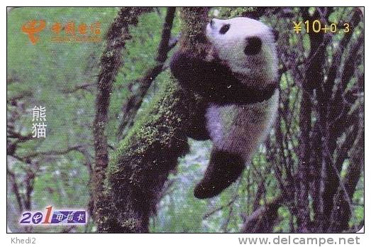 Télécarte Chine - Bébé PANDA - Pandabär Baby Tier Animal Phonecard Telefonkarte - 85 - China