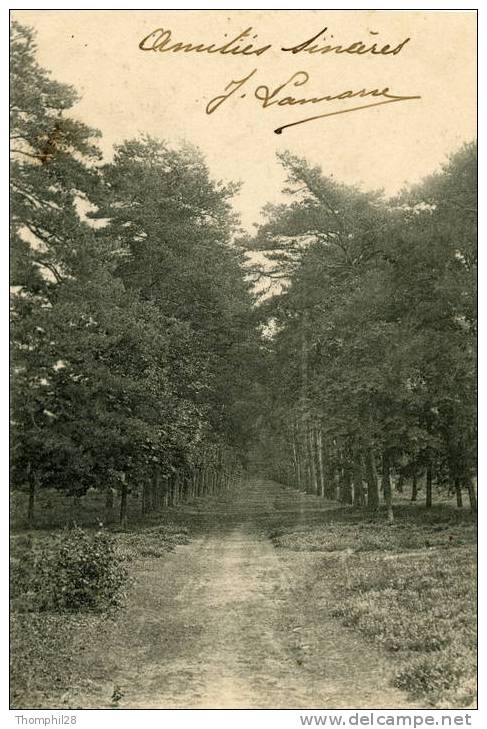 LES MUREAUX - Une Allée Du Bois. - Les Mureaux