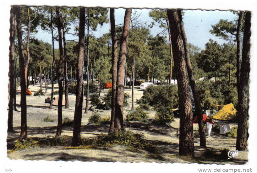 SAINT BREVIN - Camping Sous Les Pins    (Dentelée) - Carquefou