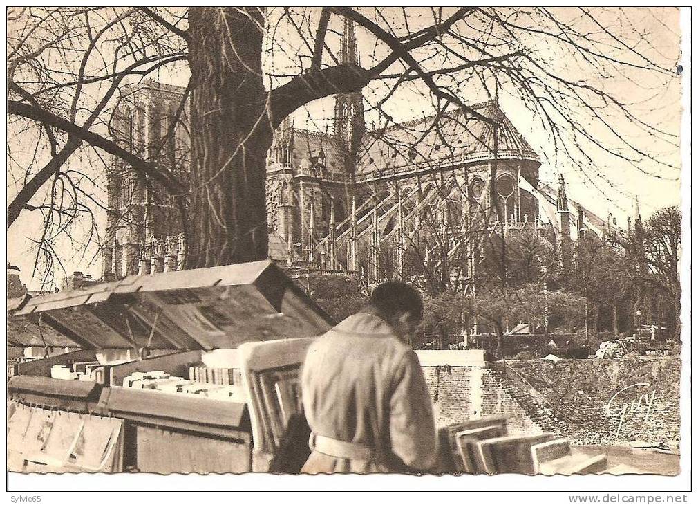 PARIS-bouquiniste De La Rive Gauche Et Notre Dame - La Seine Et Ses Bords