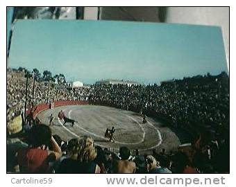 CORRIDA IN ARENA  FRANCE  FREJUS UNA NOVILLADA VB1969  BT21421 - Bull