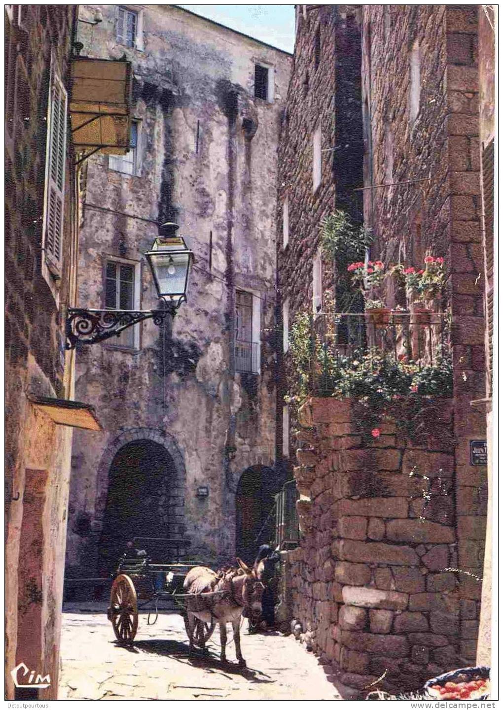 SARTENE Corse Vieille Ruelle  âne Charette  1978 - Sartene